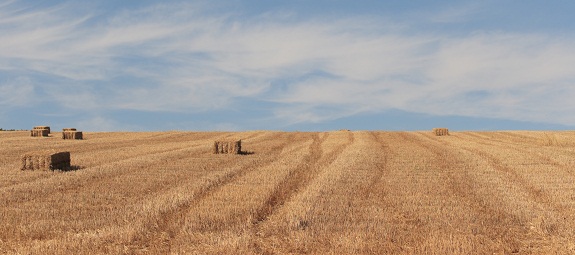 The ABCD of Harvest